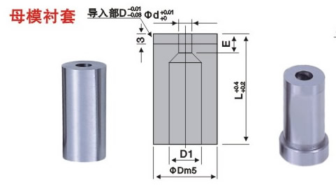 母模襯套